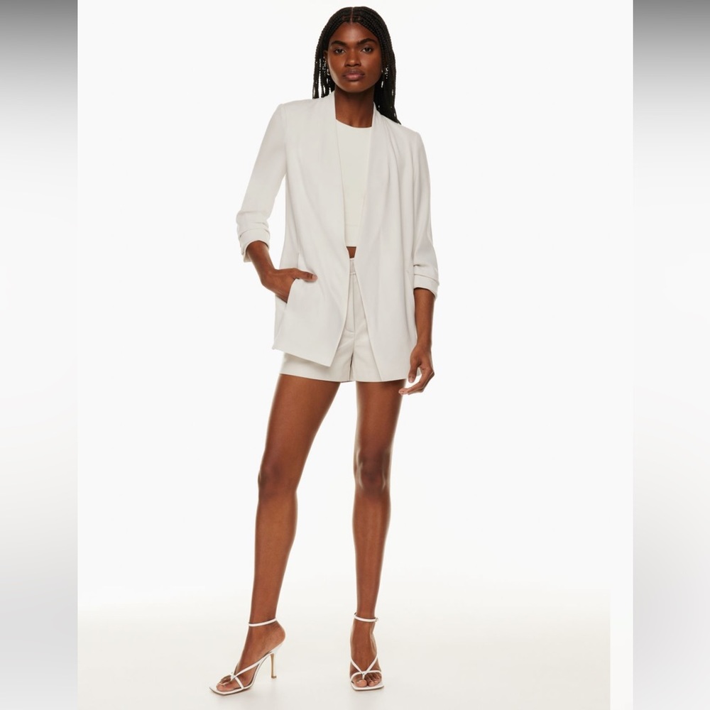 Aritzia Babaton blazer